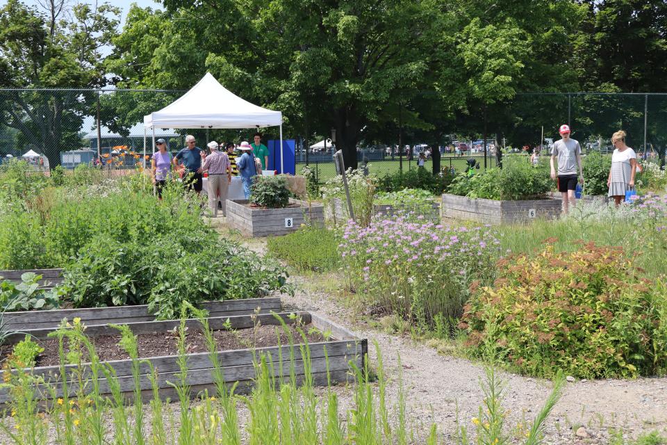 Image from a distance showing some of the community garden with people enjoying the pollinator fair in the background