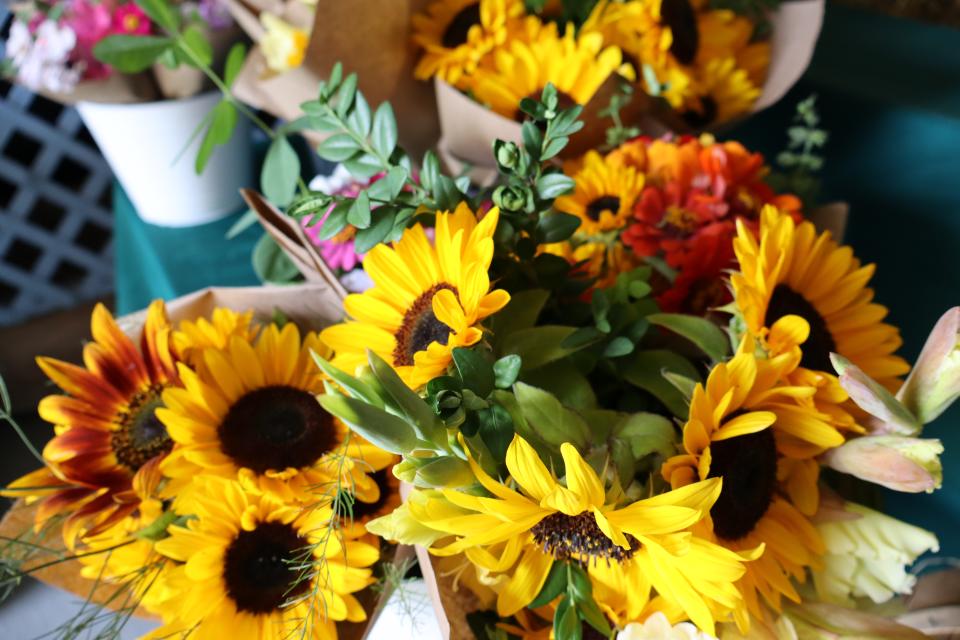 selection of fresh cut flowers for sale