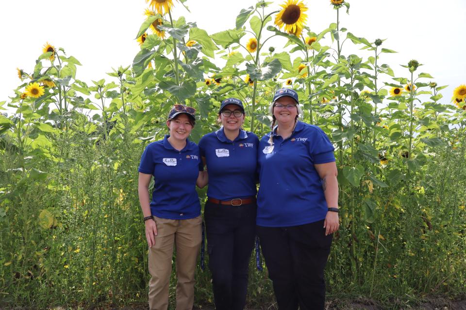 Tiny staff standing in front of the sunflower patch