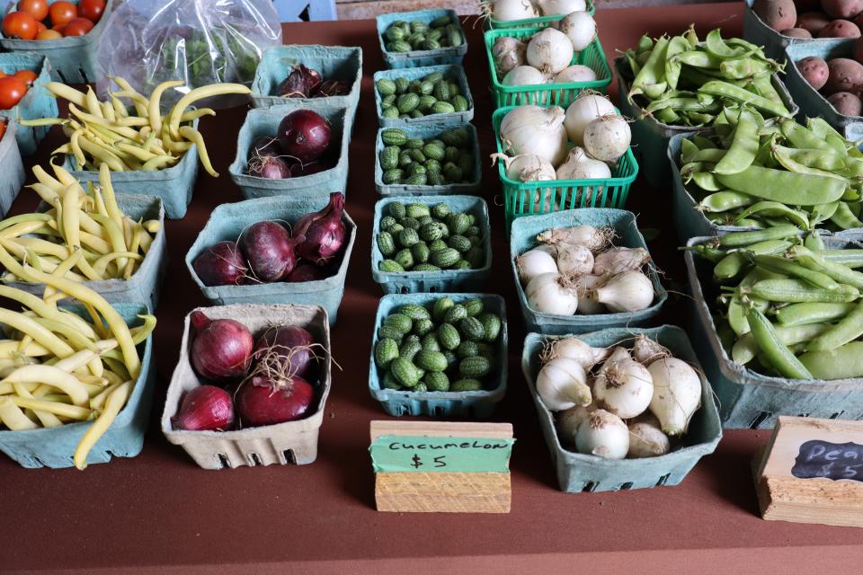 selection of fresh organic vegetables for sale