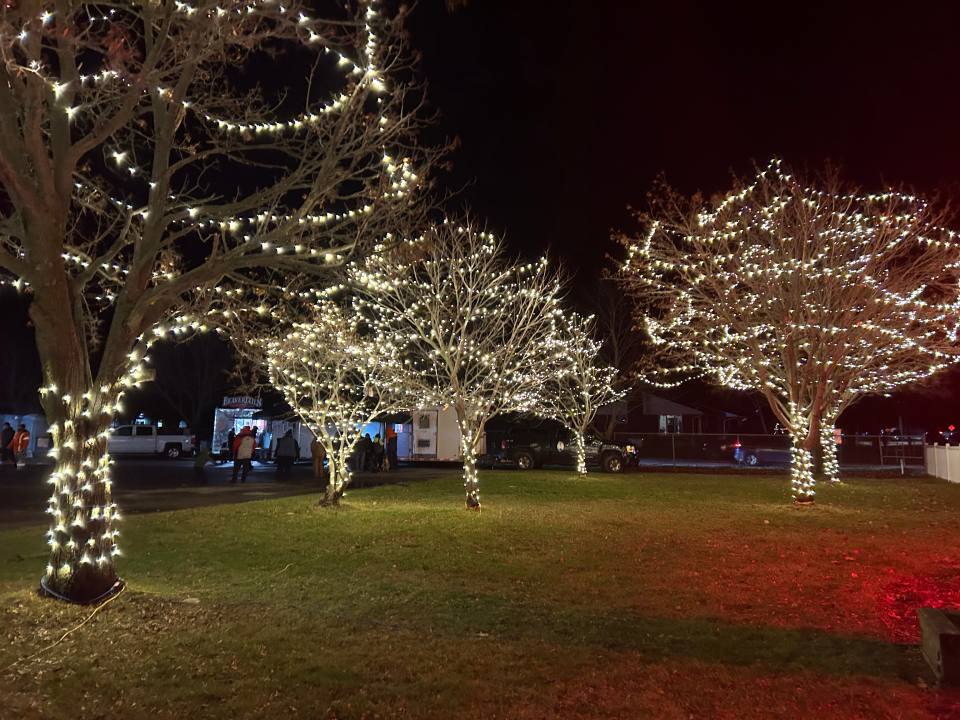 tree lighting