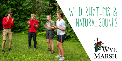 wild rhythms wye marsh event promo image with people standing in a circle clapping