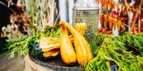 image of fall harvest vegetables and decor